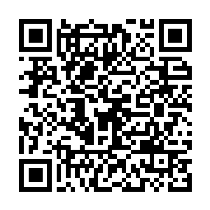 Newsletter-Anmeldung